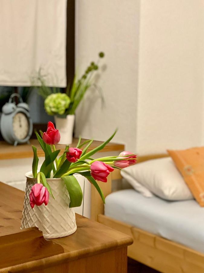 Ferienwohnung Am Weinberg Meissen Luaran gambar